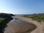 FZ029250 Beach at Bosherton lily ponds.jpg